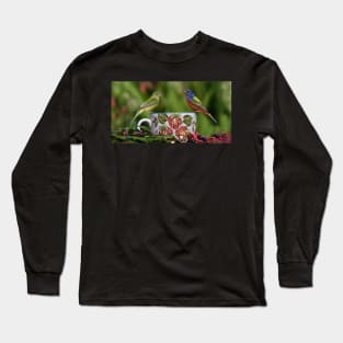 Painted Bunting Birds Long Sleeve T-Shirt